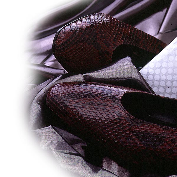 Damenschuhe Stilllife