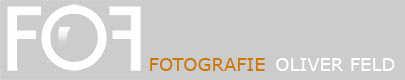 Logo Header